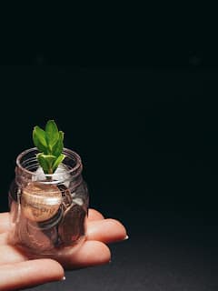 Small plant growing from coins representing investment growth and compound interest over time